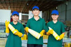 高質量成長丨小特產變身大財產 集群化成